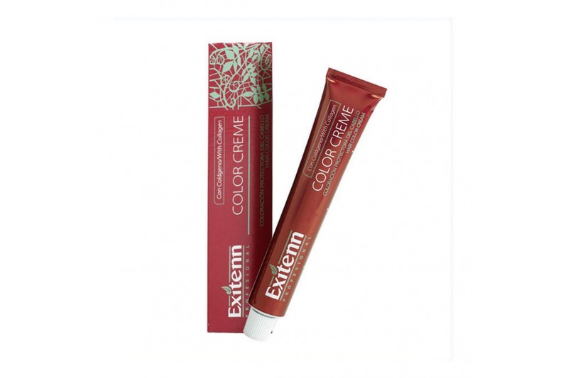 Permanente Kleur Color Creme Exitenn Nº 562 Plum (60 ml)