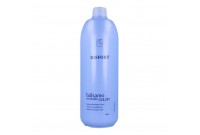 Hair Oxidizer Risfort 2,1 % (1000 ml)