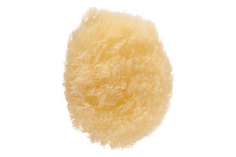 Body Sponge Eurostil