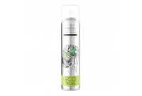 Strong Hold haarlak Eurostil Ecologisch (300 ml)