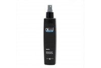 Spray de Coiffage Nirvel Styling Nidyl Direccional (250 ml)