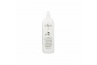 Champú Purificant Exitenn (1000 ml) (1 L)