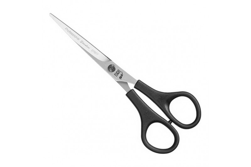 Hair scissors Eurostil ‎8423029018863 Only for professional use