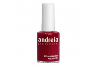 nail polish Andreia Nº 117 (14 ml)