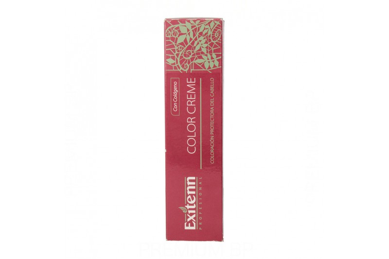 Tinte Permanente Exitenn Color Creme Nº 12/0.22 (60 ml)