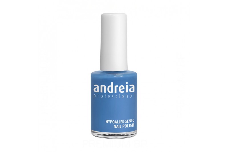 Vernis à ongles Andreia Professional Hypoallergenic Nº 06 (14 ml)