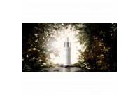 Sérum de nuit White Light Alqvimia (30 ml)