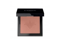 Eyeshadow Stendhal Highlighter Nº 302 (5,5 g)