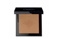 Eyeshadow Stendhal Compacte Perfect Nº 131