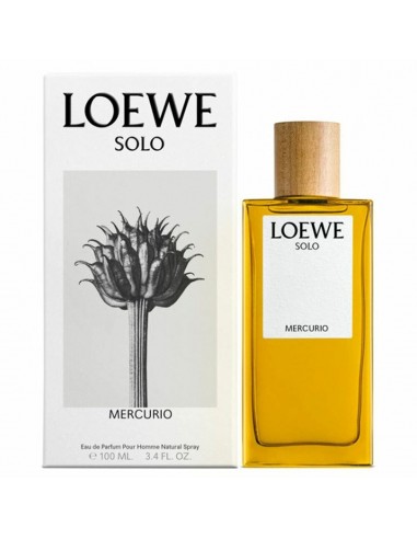 Men's Perfume Loewe Solo Mercurio EDP (100 ml)