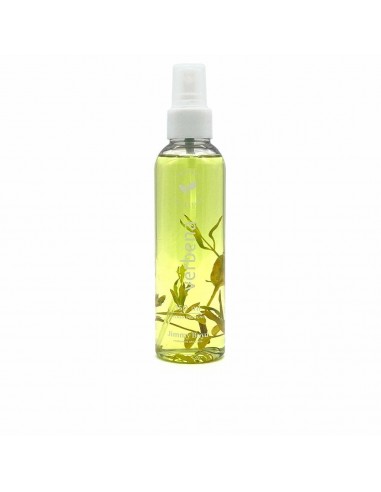 Parfum Unisexe Jimmy Boyd Verbena EDC (150 ml)