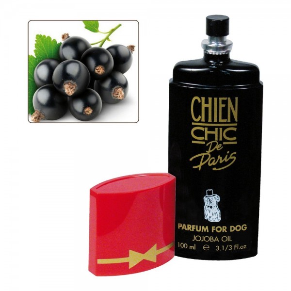 Parfüm für Haustiere Chien Chic Hund Schwarze Johannisbeere (100 ml)