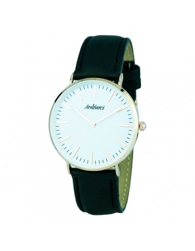 Horloge Uniseks Arabians HPA2229N (ø...