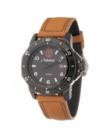 Men's Watch Timberland...