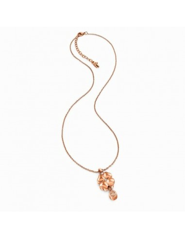 Ladies'Necklace Folli Follie 3N15T039RYC (40-45 cm)