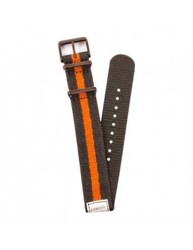 Watch Strap Timex BTQ6020059 (20 mm)