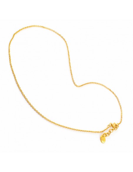 Ladies'Necklace Folli Follie 1N9S077Y (21 cm)