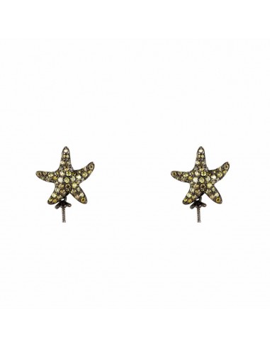 Boucles d´oreilles Femme Lancaster JLA-EAR-STAR-3