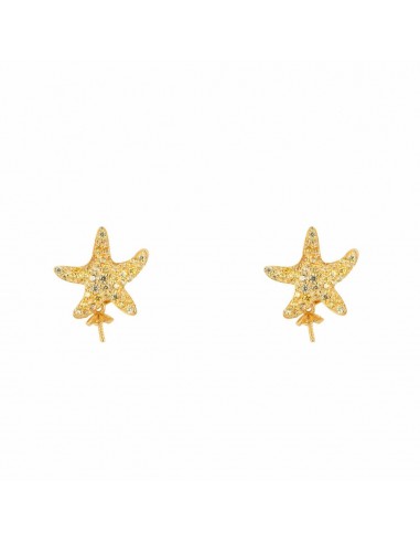 Boucles d´oreilles Femme Lancaster JLA-EAR-STAR-6