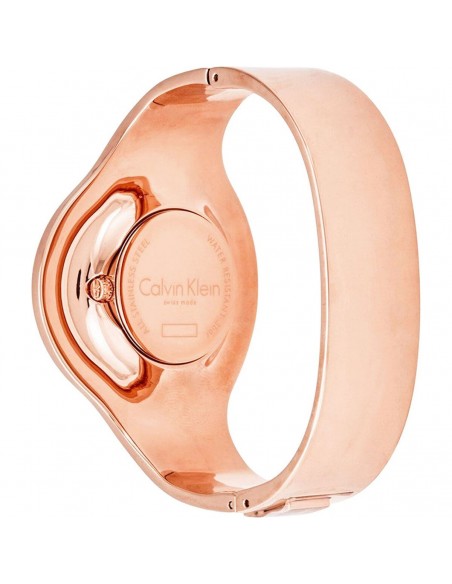 Montre Femme Calvin Klein K8C2S616 (Ø 21 mm)