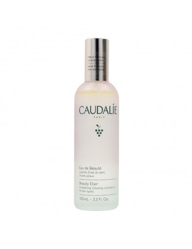 Agua de Belleza Caudalie 780319 Fijador (100 ml)