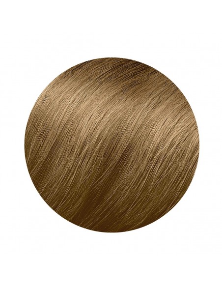 Coloration Permanente Phyto Paris Color 8.3-light golden blonde