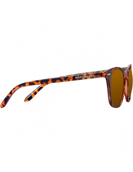 Lunettes de soleil Unisexe Northweek Wall Tortoise Marron Tortoise (Ø 45 mm)