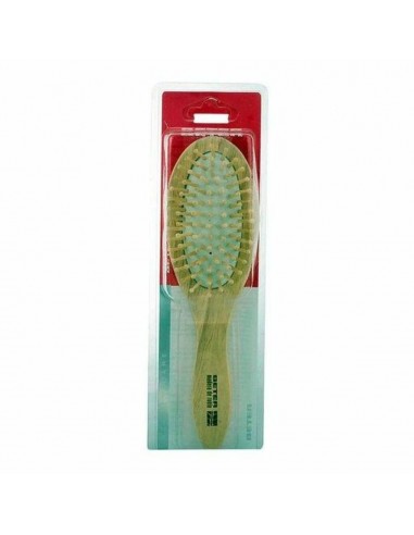 Detangling Hairbrush Beter