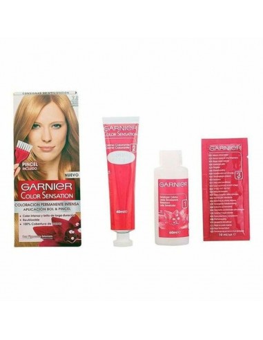 Permanent Dye Color Sensation Garnier...