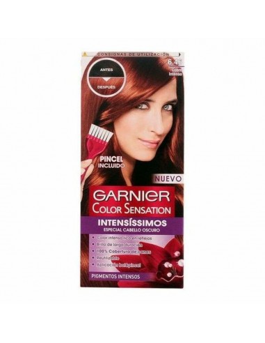 Permanente Kleur Color Sensation Intensissimos Garnier Instens koper