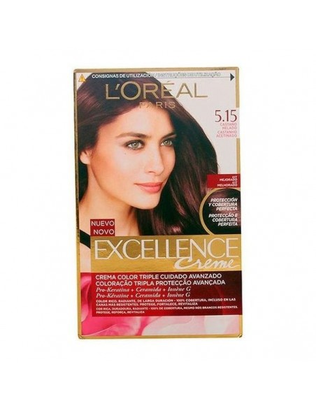 Lavendel Excellence Creme L'Oreal Expert Professionnel Kühles kastanie