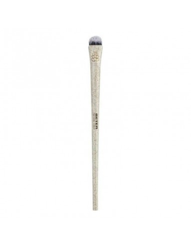 Make-up Brush Beter