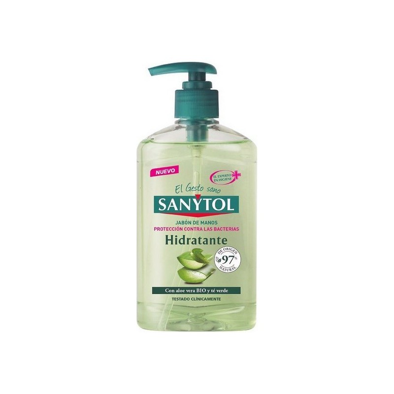 Handseife mit Spender Antibacterias Sanytol (250 ml)