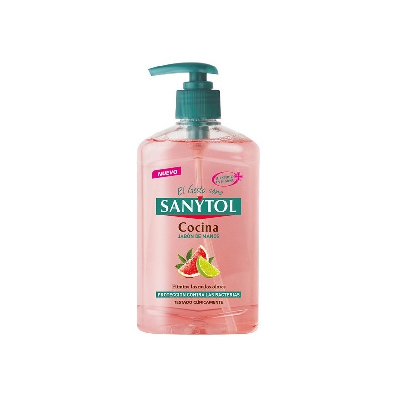 Handseife mit Spender Antibacterias Kitchen Sanytol (250 ml)