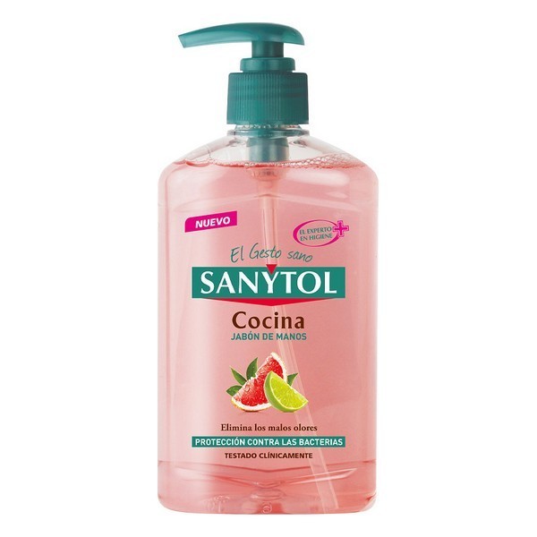 Handseife mit Spender Antibacterias Kitchen Sanytol (250 ml)