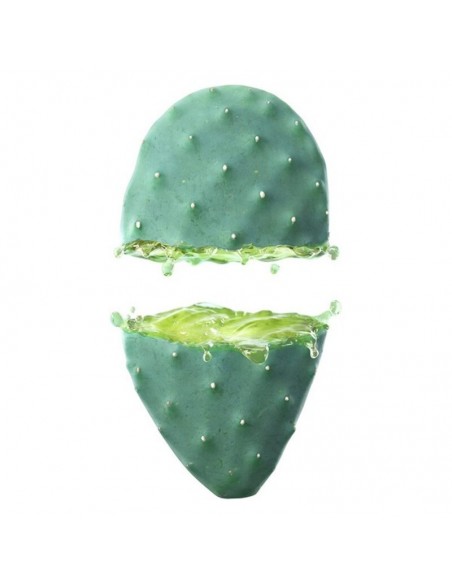 Crème Hydratante pour le Visage Cactus Opuntia 24h Weleda (30 ml)