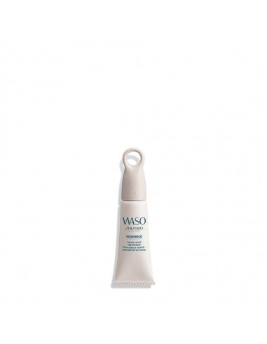 Corrective Anti-Brown Spots Shiseido...