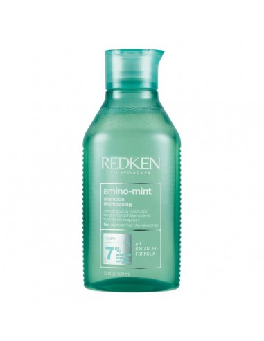 Champú Purificante Redken Amino-Mint...