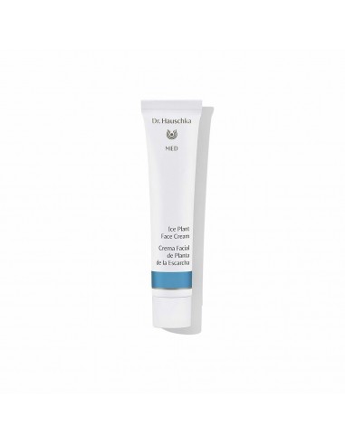 Crema Facial Hidratante Dr. Hauschka Med Ice Plant (40 ml)