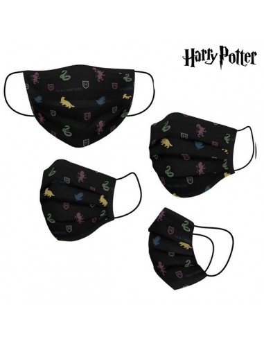 Masque en tissu hygiénique réutilisable Harry Potter Adulte Noir